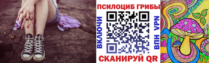 Купить  Новоржев  Псилоцибиновые грибы Cubensis 