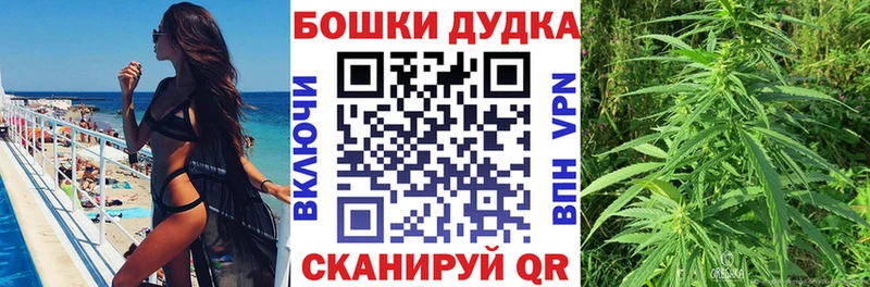 Купить  Новоржев  Бошки Шишки план 
